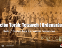 Porcion #20: Tetzaveh / Ordenaras