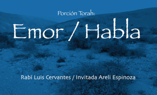 Shabbat Torah # 28:  Emor / Habla
